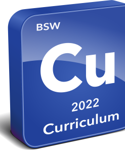 BSW Curriculum Instrument