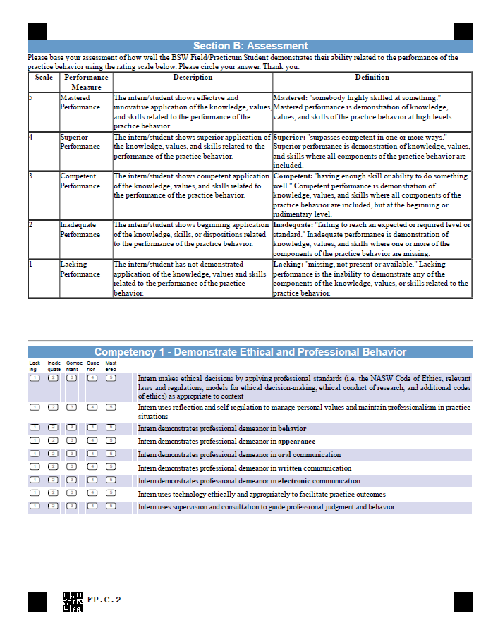 BSW Field Placement / Practicum | Social Work Education Assessment Project