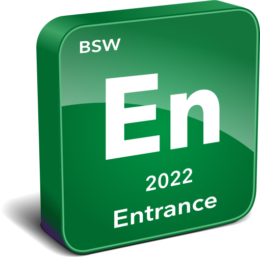 BSW Entrance Survey