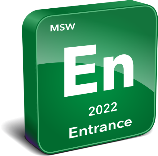 MSW Entrance Survey